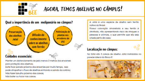 Imagem do transporte das colmeias